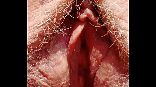 Sexy Mature Shows Her Hairy Spread Eagle Cunt