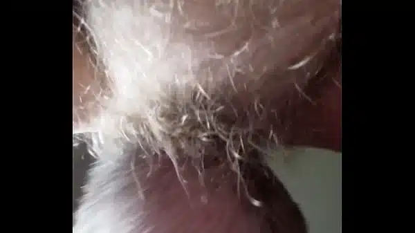 Tongue Fucking Hairy Wife Ass