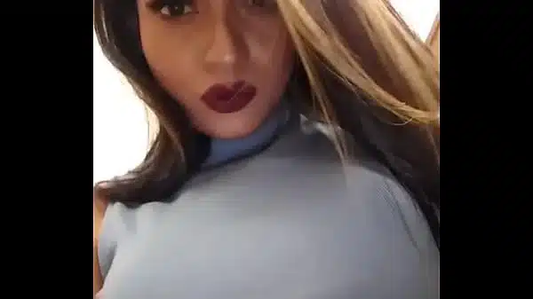 Bd Sanayee Model