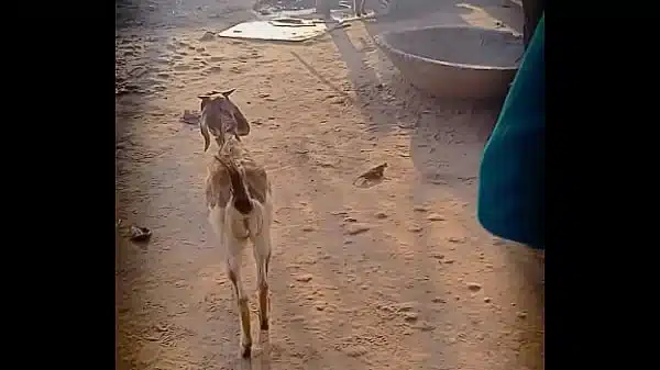 Xnxx 42