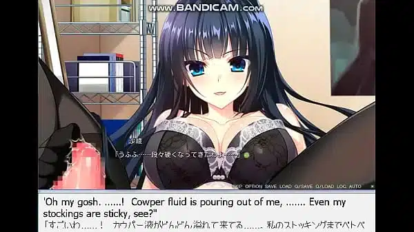 Xvideos 204