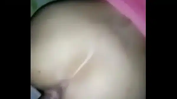 Xvideos 241