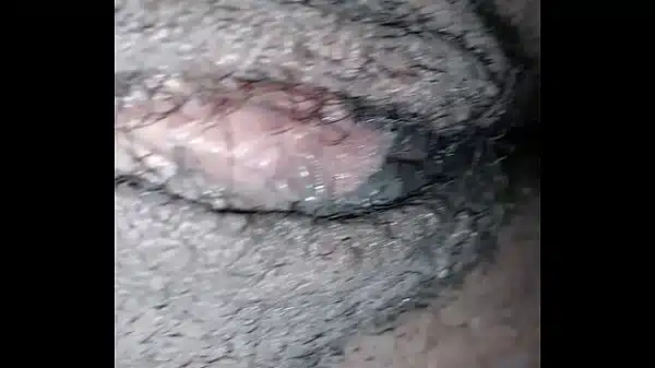 Xvideos 297