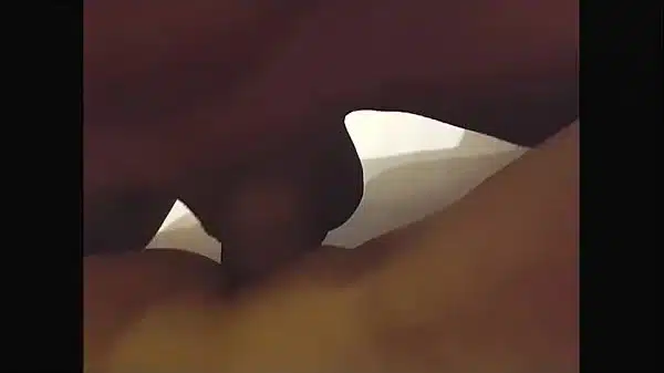 Xvideos 562
