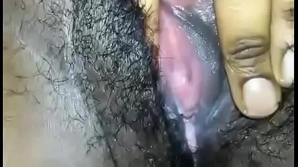 Xvideos 529