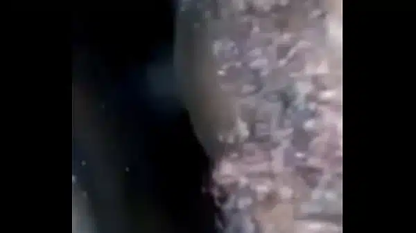 Xvideos 677