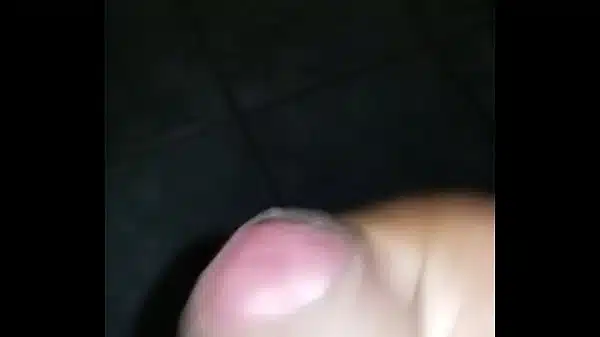 Xvideos 731