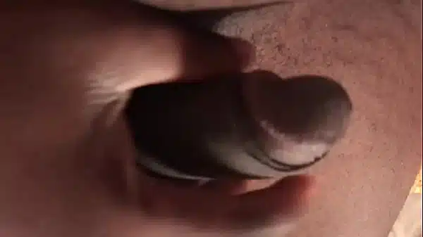 Xvideos 751