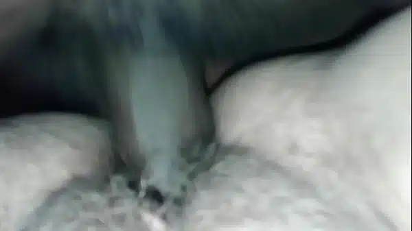 Bbw 5
