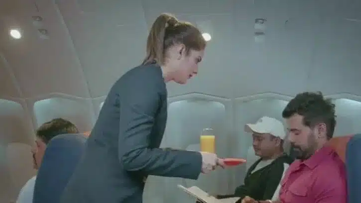 Indian Desi Air Hostess Girl Sex With Passenger